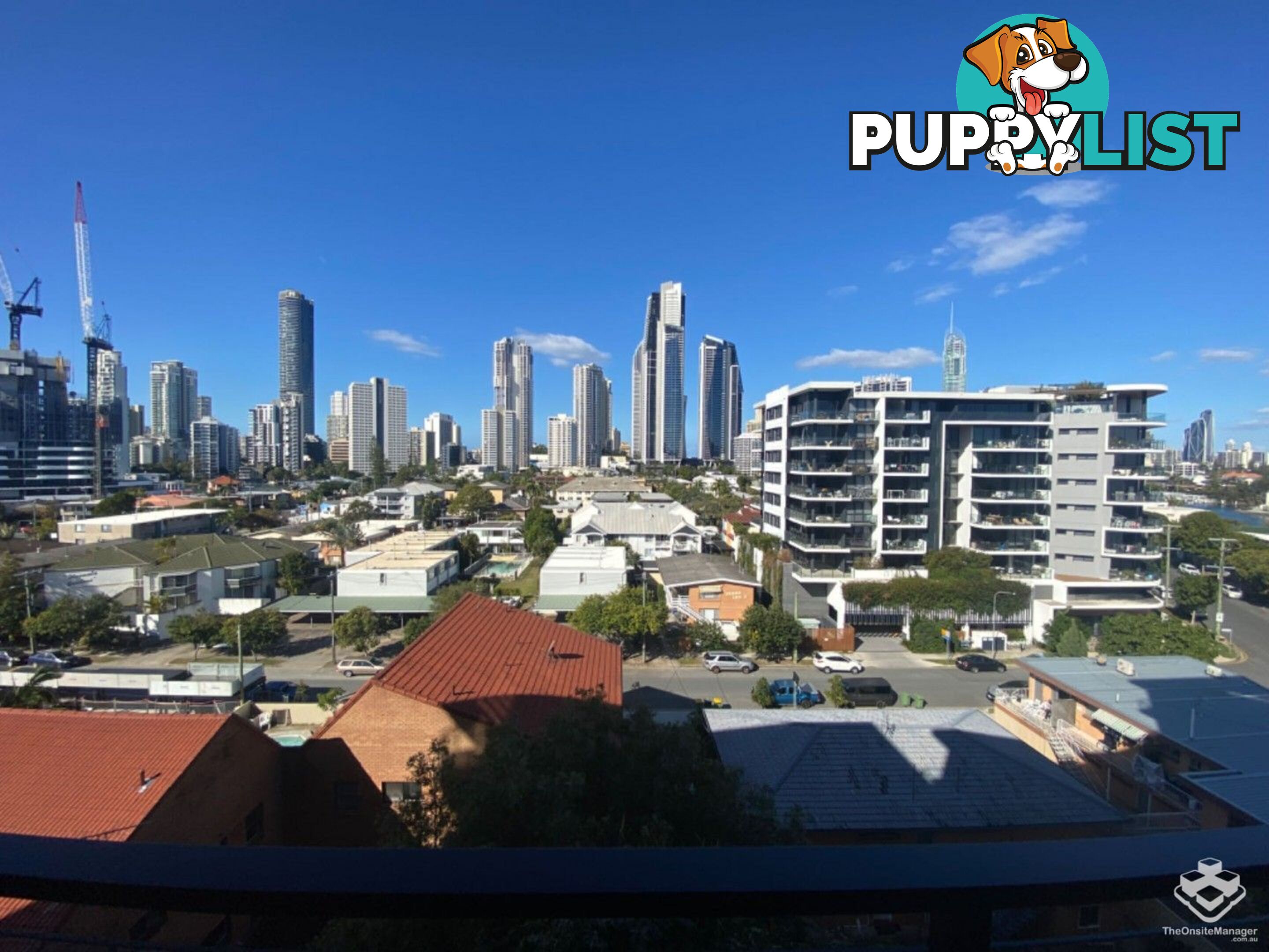 ID:21140329/266 Stanhill Drive Surfers Paradise QLD 4217