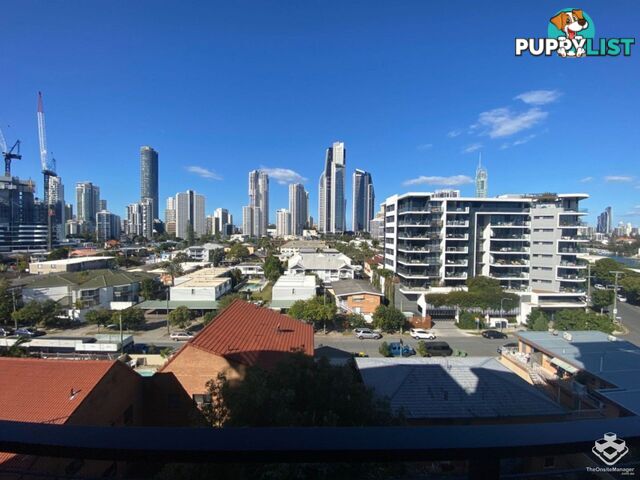 ID:21140329/266 Stanhill Drive Surfers Paradise QLD 4217