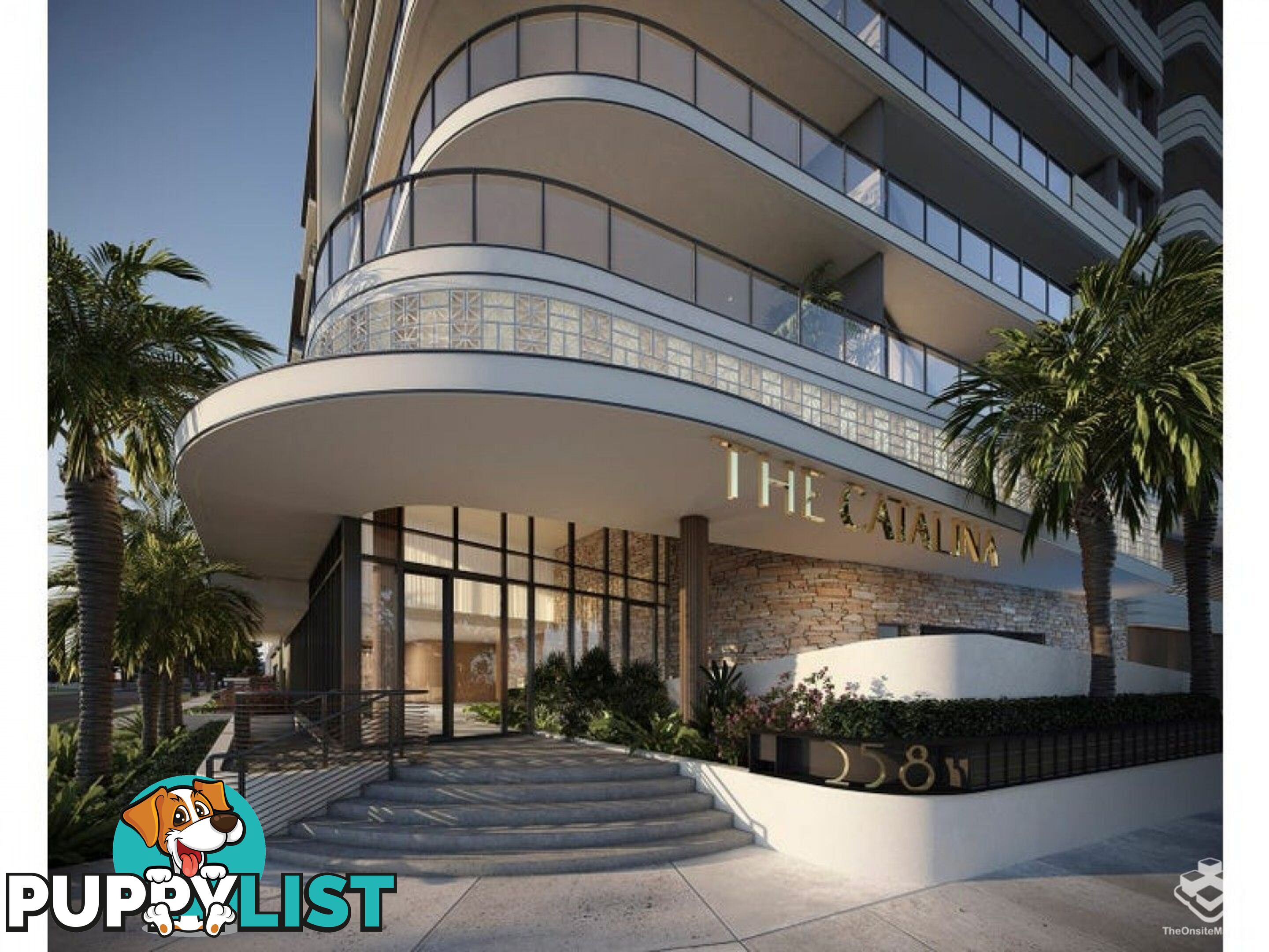 ID:21140329 266 Stanhill Drive Surfers Paradise QLD 4217