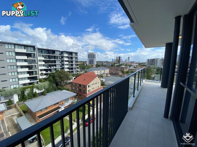 ID:21140329 266 Stanhill Drive Surfers Paradise QLD 4217