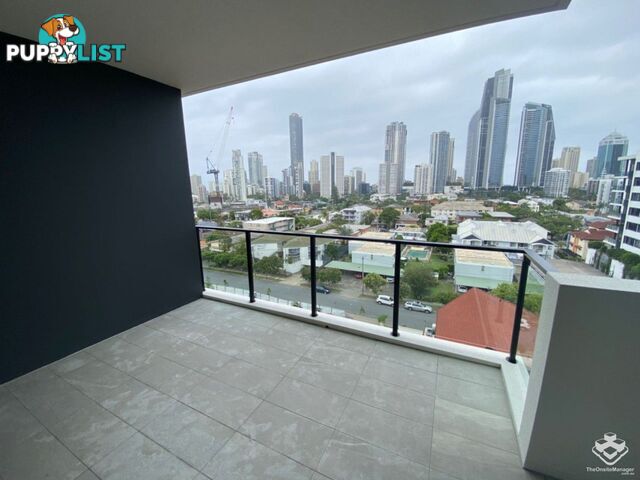 ID:21140329 266 Stanhill Drive Surfers Paradise QLD 4217