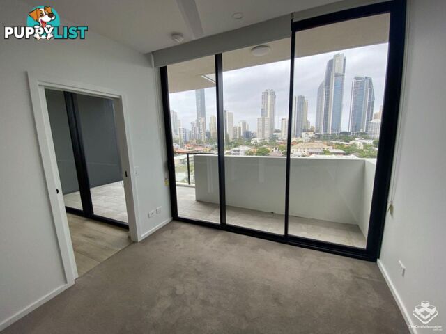 ID:21140329 266 Stanhill Drive Surfers Paradise QLD 4217