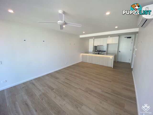 ID:21140329/266 Stanhill Drive Surfers Paradise QLD 4217