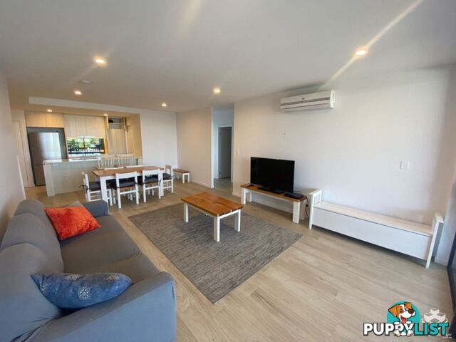 ID:21140329/266 Stanhill Drive Surfers Paradise QLD 4217