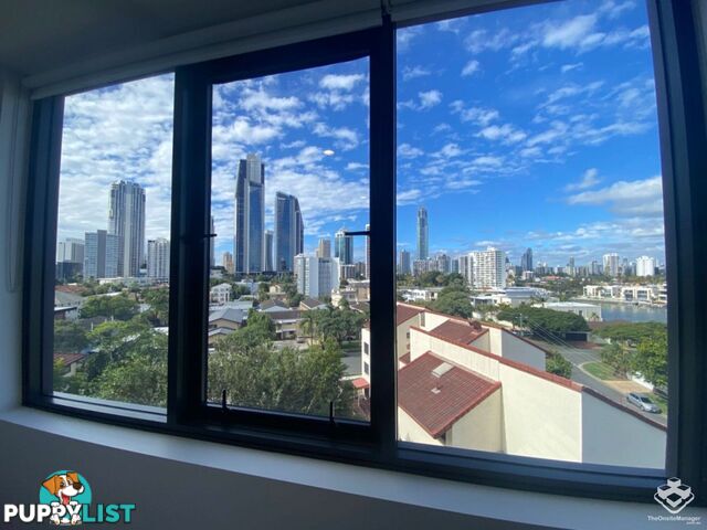 ID:21140329 266 Stanhill Drive Surfers Paradise QLD 4217