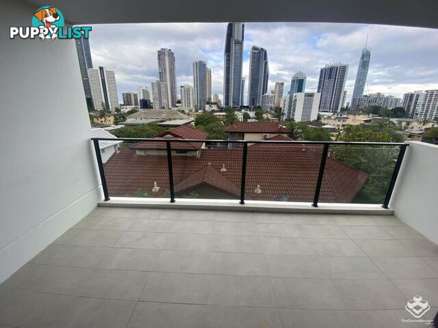 ID:21140329 266 Stanhill Drive Surfers Paradise QLD 4217