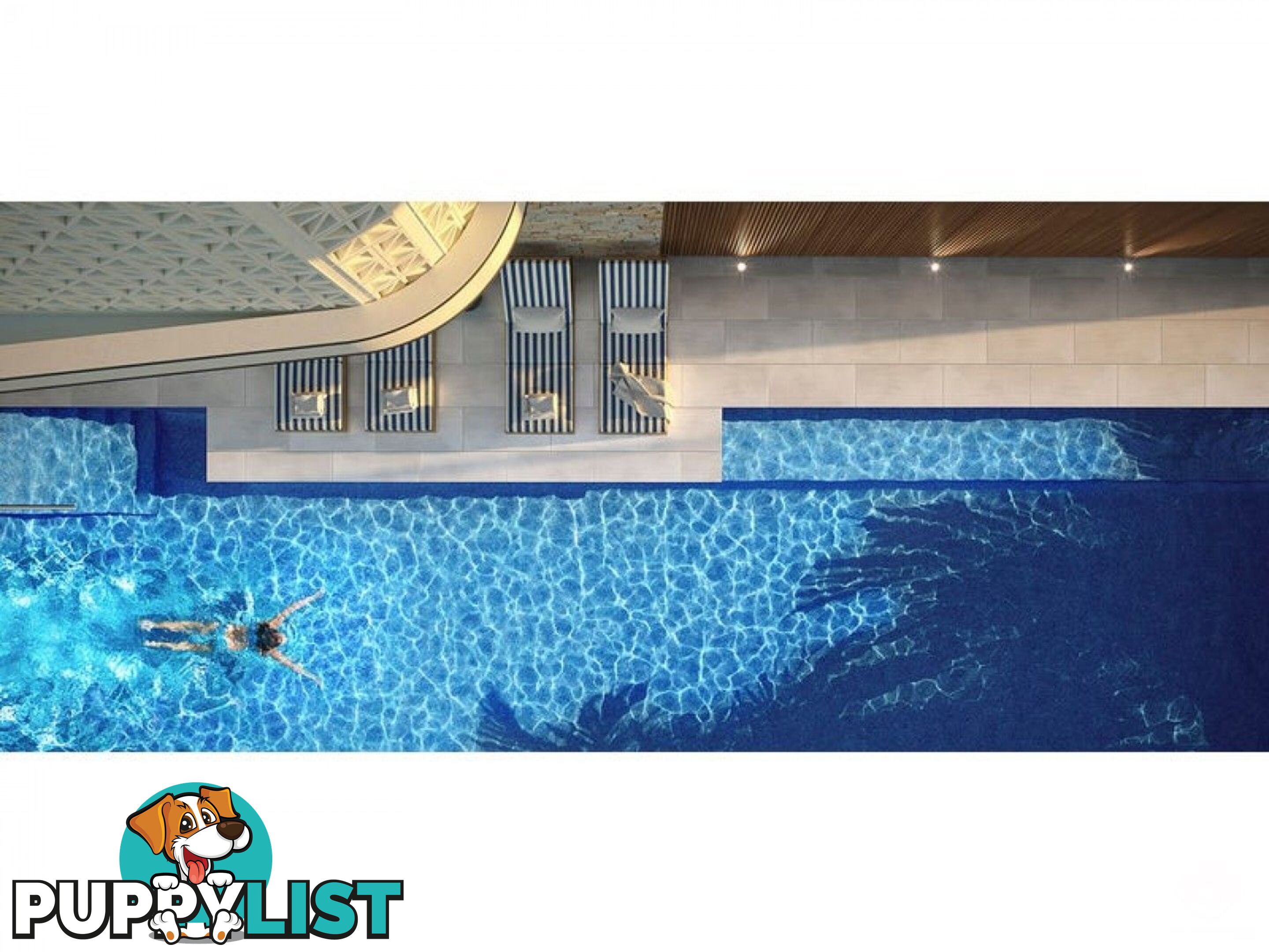 ID:21140329 266 Stanhill Drive Surfers Paradise QLD 4217
