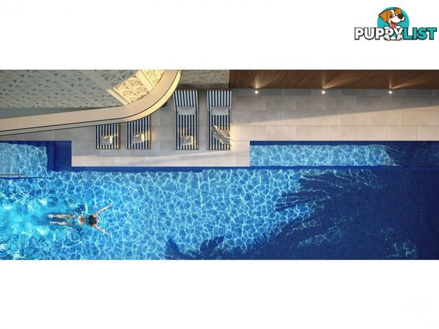 ID:21140329 266 Stanhill Drive Surfers Paradise QLD 4217