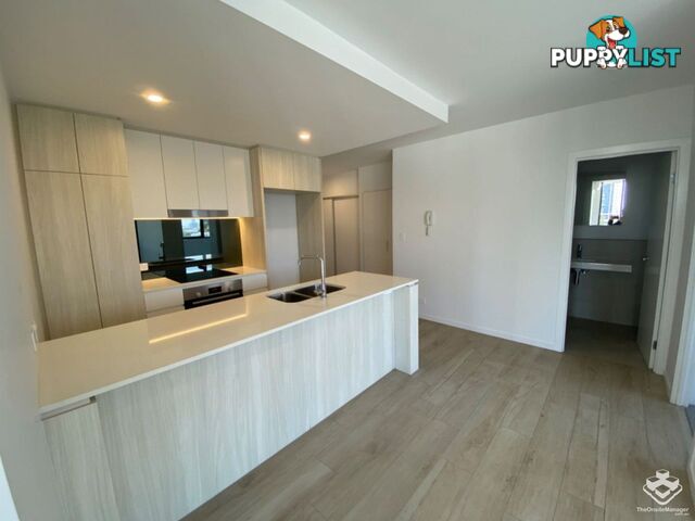 ID:21140329 266 Stanhill Drive Surfers Paradise QLD 4217