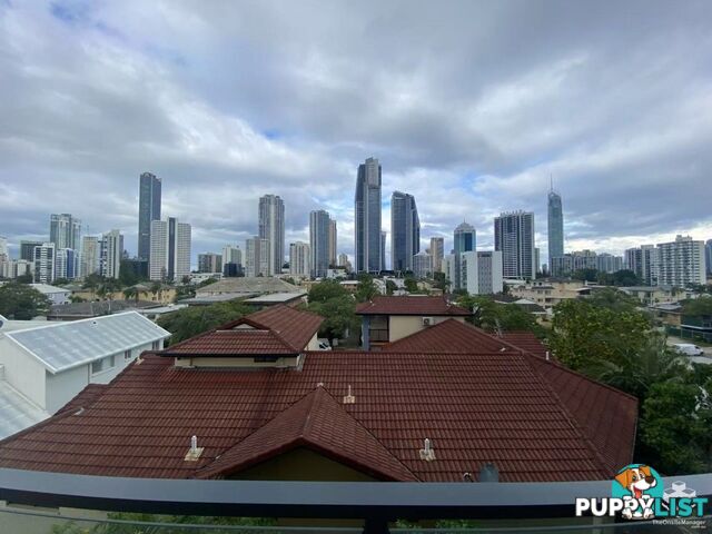 ID:21140329 266 Stanhill Drive Surfers Paradise QLD 4217