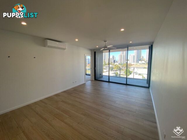 ID:21140329/266 Stanhill Drive Surfers Paradise QLD 4217