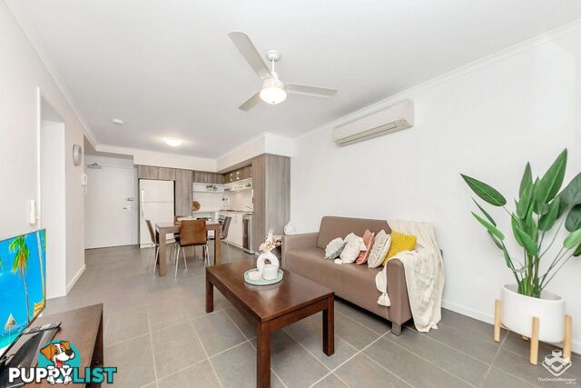 ID:21152873 4 Paddington Terrace Douglas QLD 4814