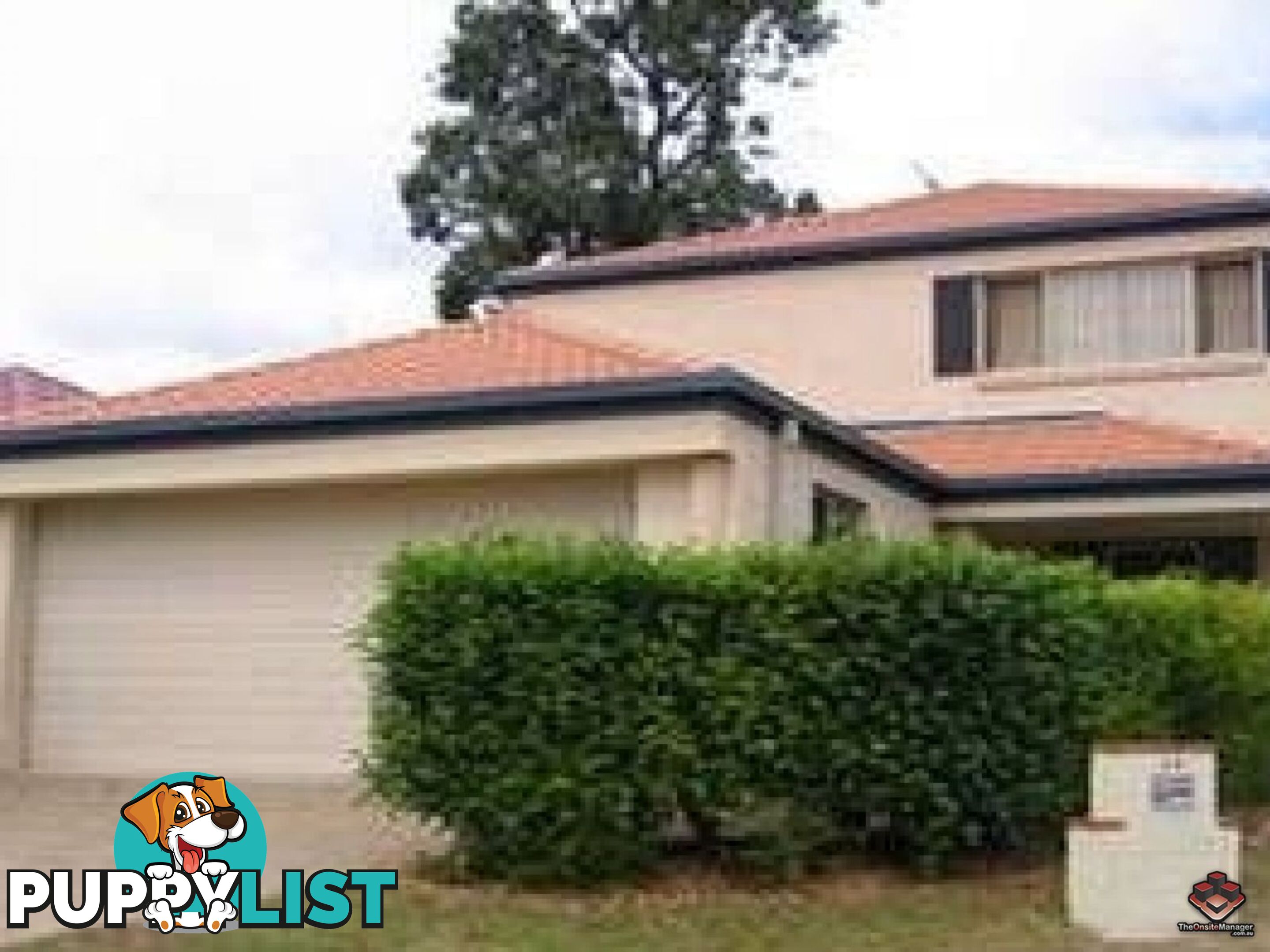 29 Pintail Crescent Forest Lake QLD 4078