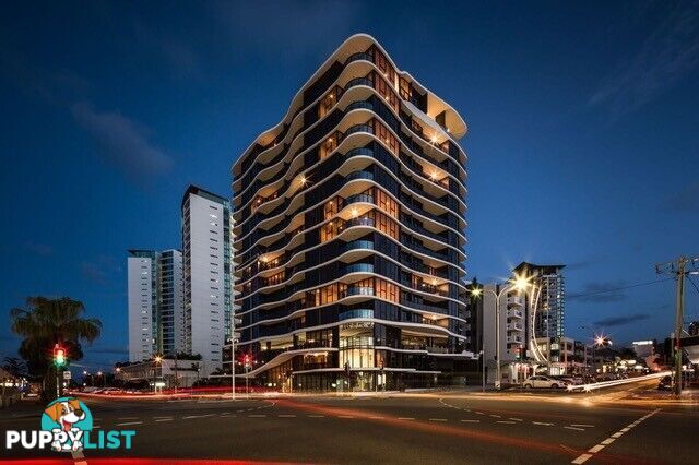 ID:21153931 139 Scarborough St 139 Scarborough Street Southport QLD 4215