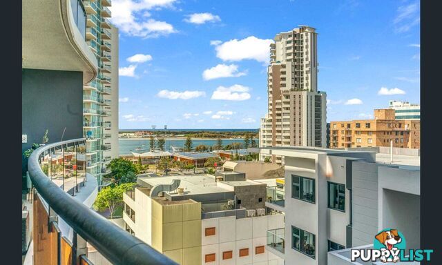 ID:21153931 139 Scarborough St 139 Scarborough Street Southport QLD 4215