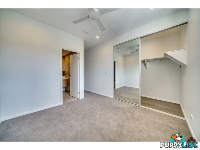 ID:3898206/ 26 Farm Street Newmarket QLD 4051