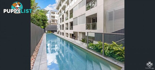 ID:21156883 43 Beeston Street Teneriffe QLD 4005
