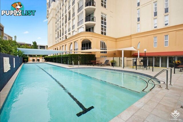 ID:21155094 3029 The Boulevard Carrara QLD 4211
