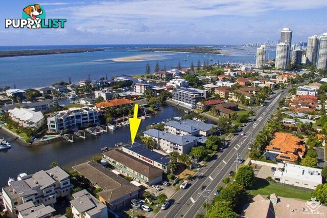 ID:21140686/79 Bayview Street Runaway Bay QLD 4216