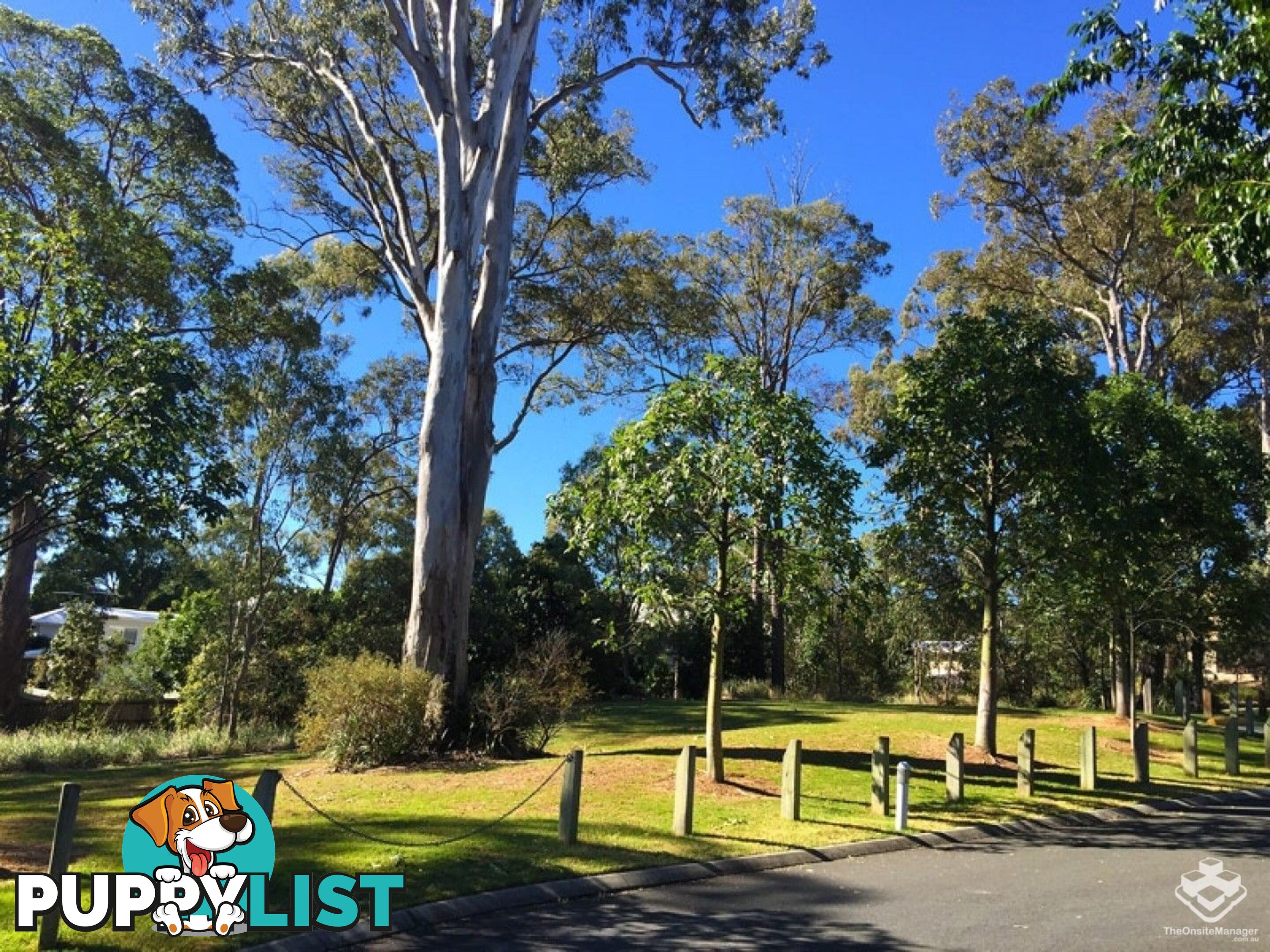 ID:21153748 21 Emma Street Bracken Ridge QLD 4017
