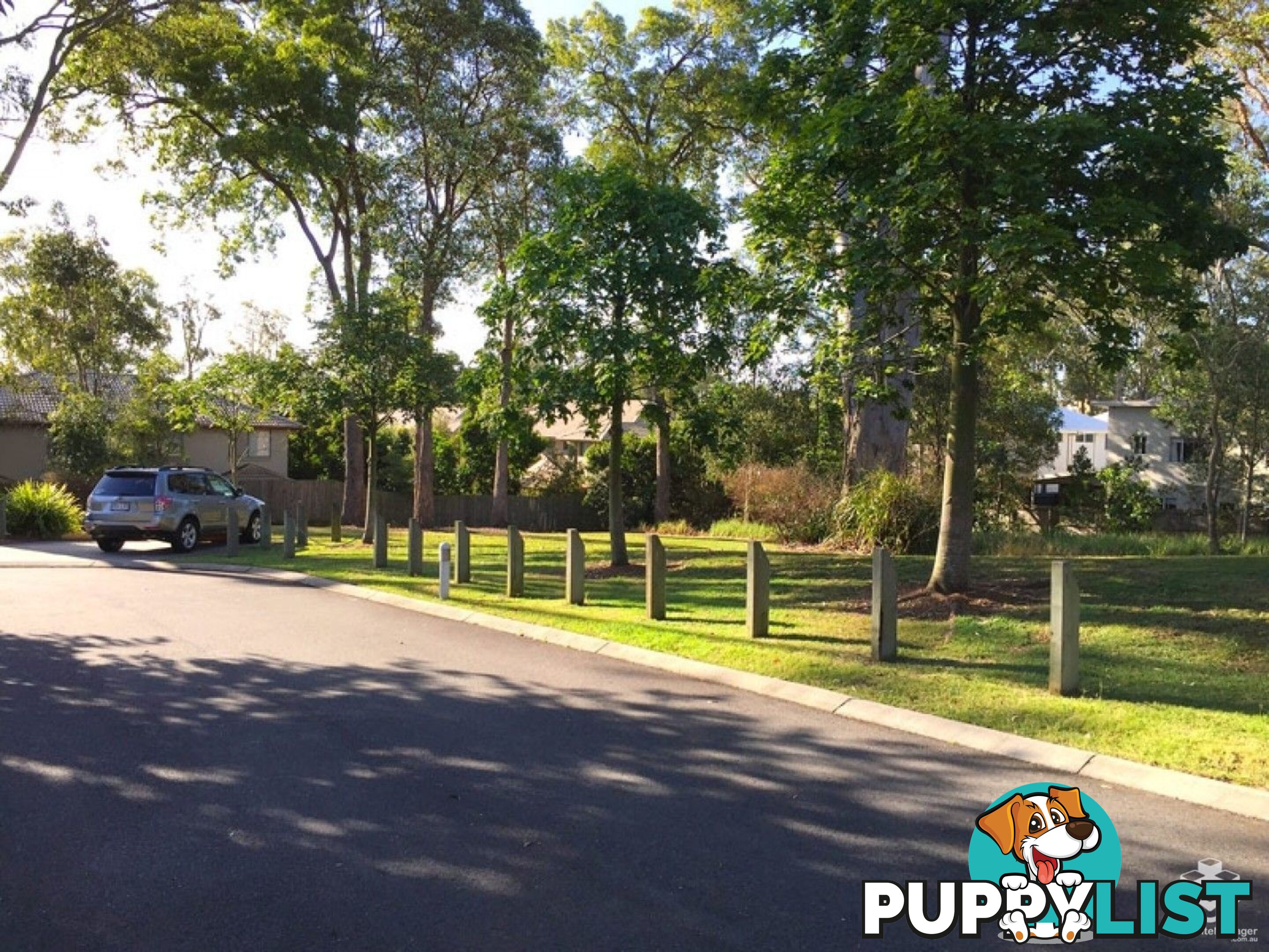 ID:21153748 21 Emma Street Bracken Ridge QLD 4017