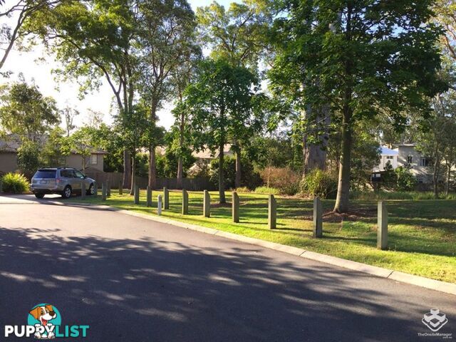 ID:21153748 21 Emma Street Bracken Ridge QLD 4017