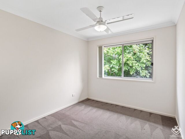 ID:21153748 21 Emma Street Bracken Ridge QLD 4017
