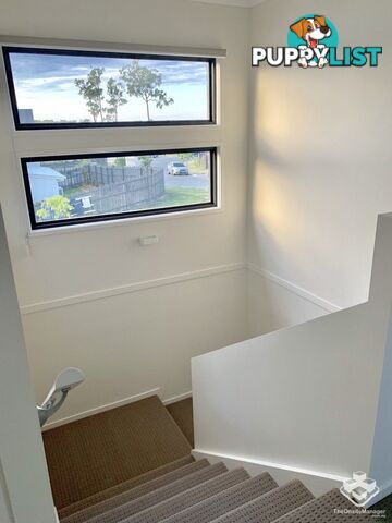 5 Emilia Street Coomera QLD 4209