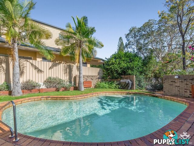 7/20 Brisbane Street St Lucia QLD 4067