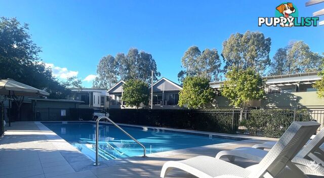 U3 / 123 Barrack Road Cannon Hill QLD 4170
