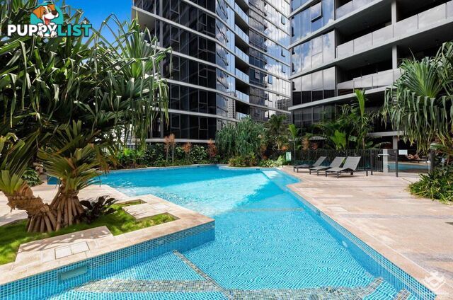 ID:21157289 1 Cordelia Street South Brisbane QLD 4101