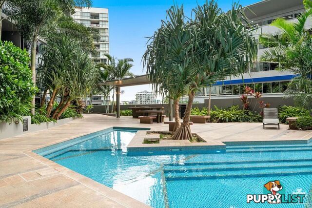 ID:21157289 1 Cordelia Street South Brisbane QLD 4101