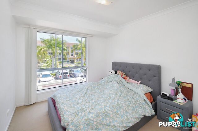 17/33 Clark Street Biggera Waters QLD 4216