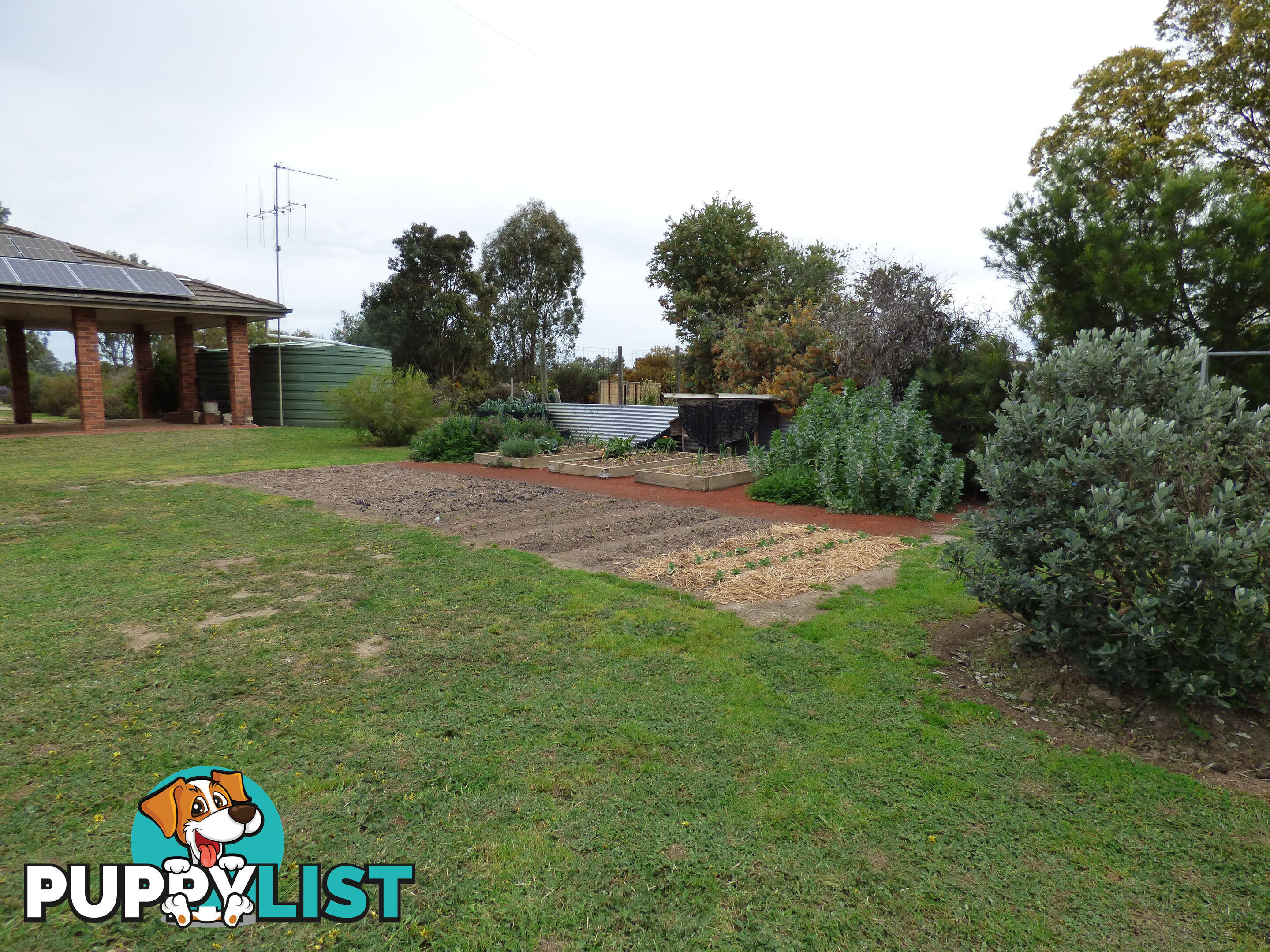 323 East Barham Road BARHAM NSW 2732