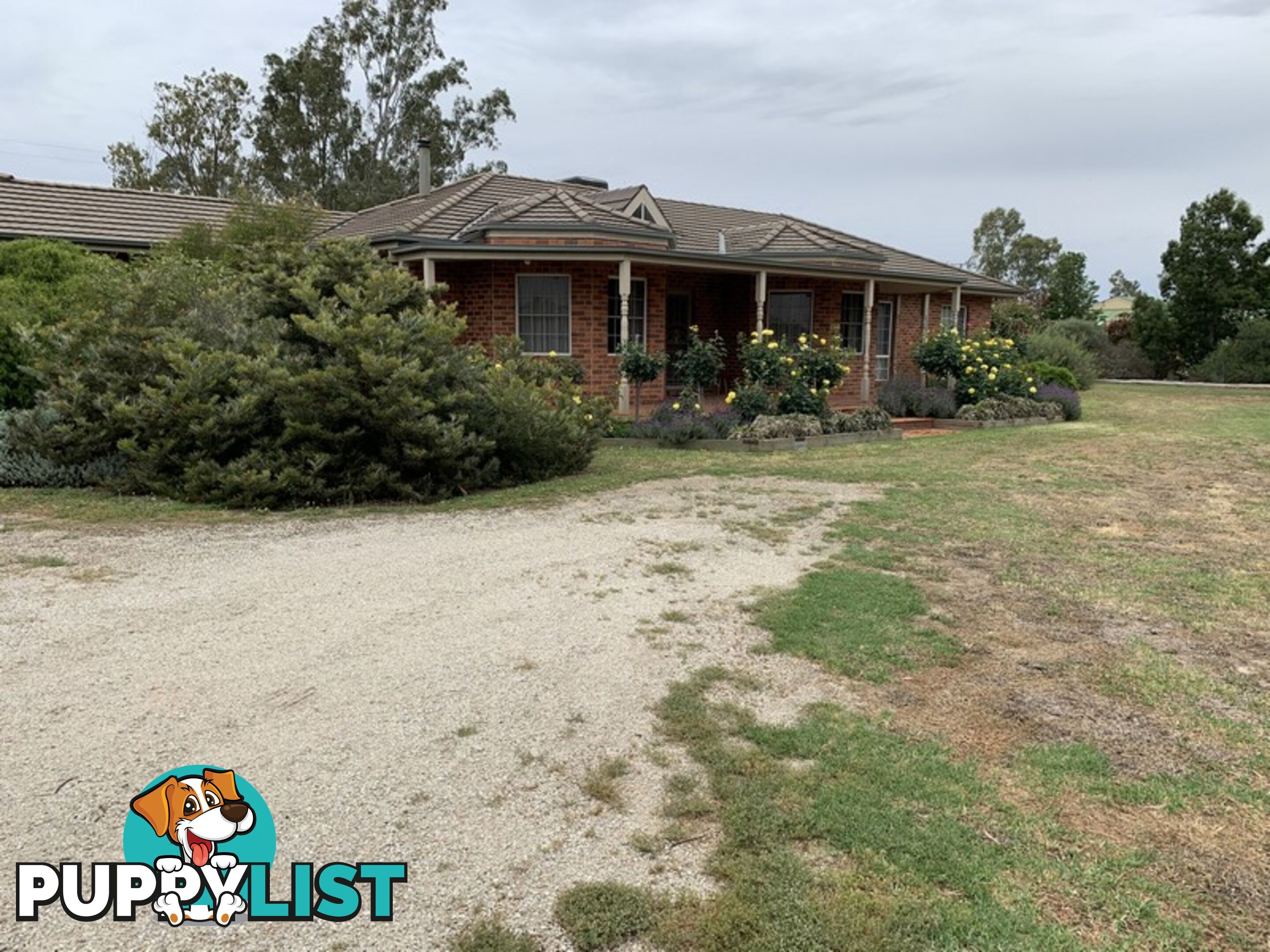 323 East Barham Road BARHAM NSW 2732