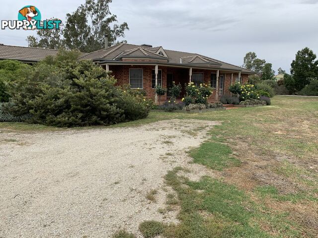 323 East Barham Road BARHAM NSW 2732