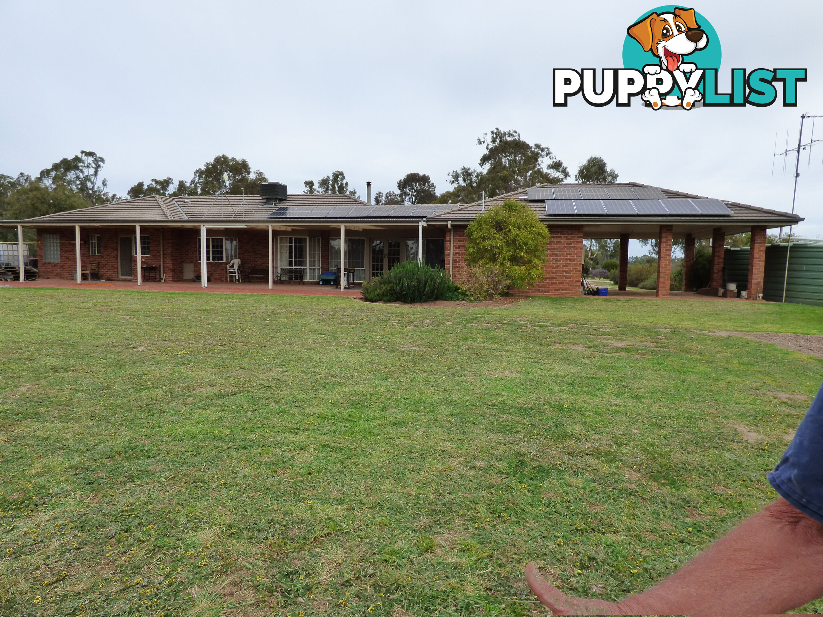 323 East Barham Road BARHAM NSW 2732