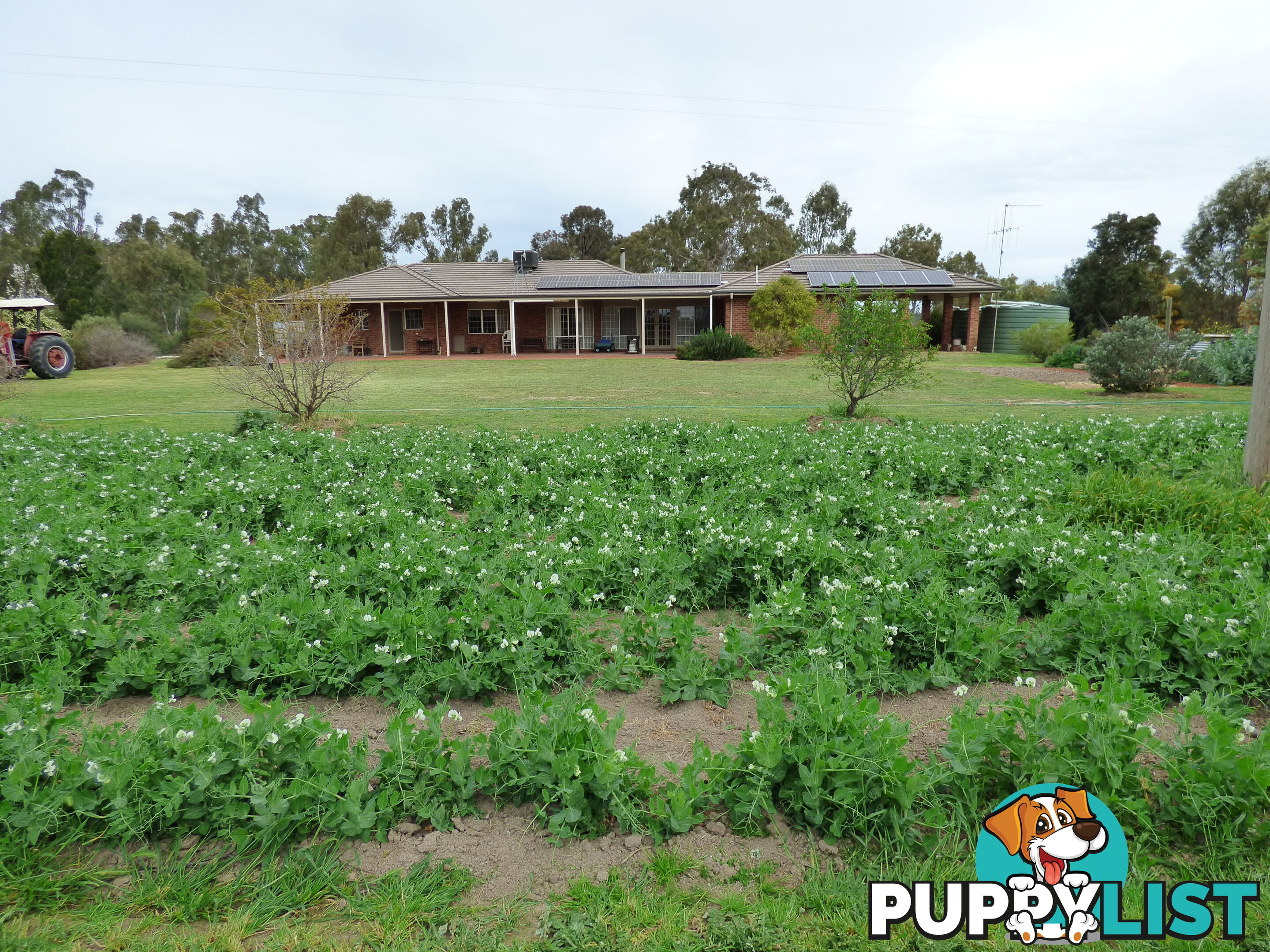 323 East Barham Road BARHAM NSW 2732