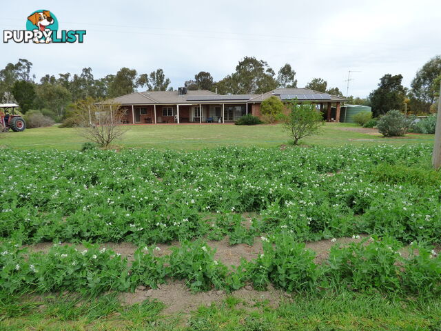 323 East Barham Road BARHAM NSW 2732