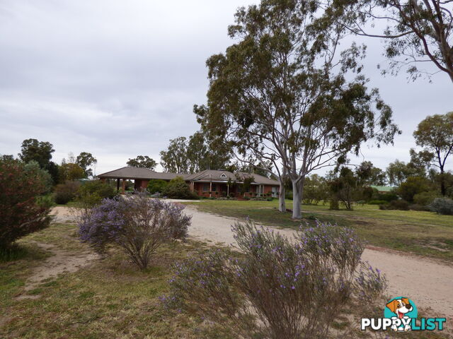 323 East Barham Road BARHAM NSW 2732