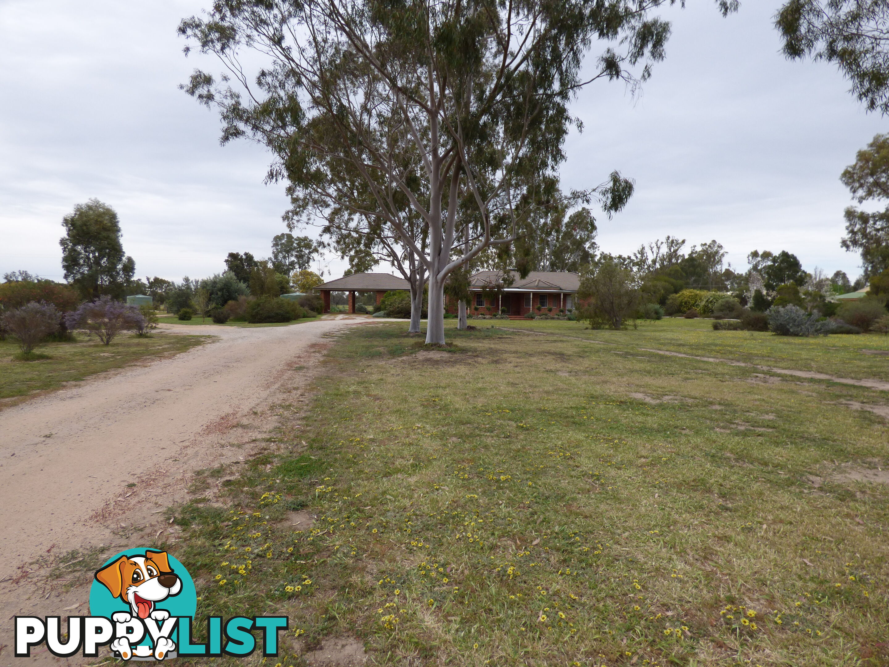 323 East Barham Road BARHAM NSW 2732