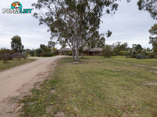 323 East Barham Road BARHAM NSW 2732