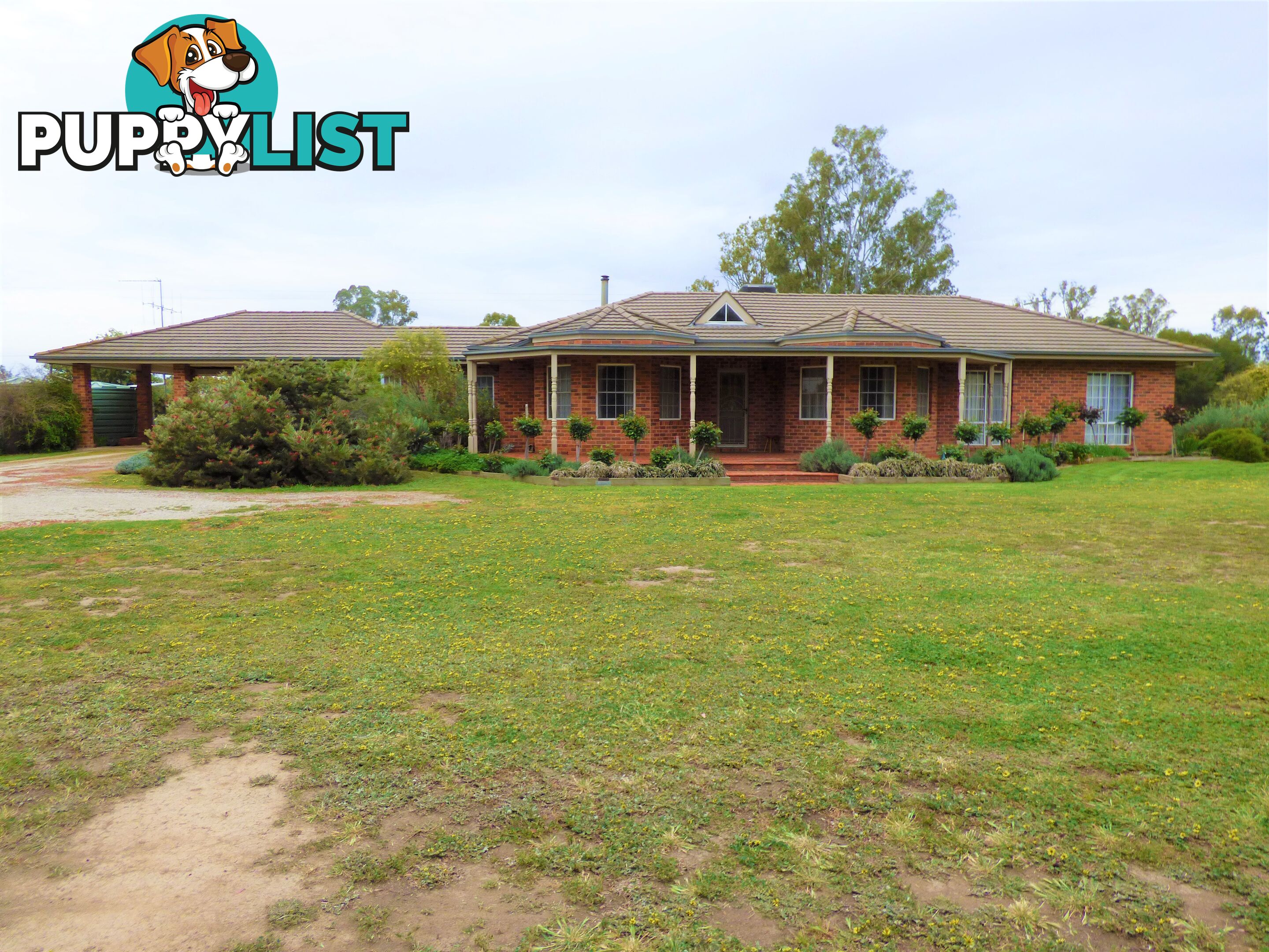 323 East Barham Road BARHAM NSW 2732