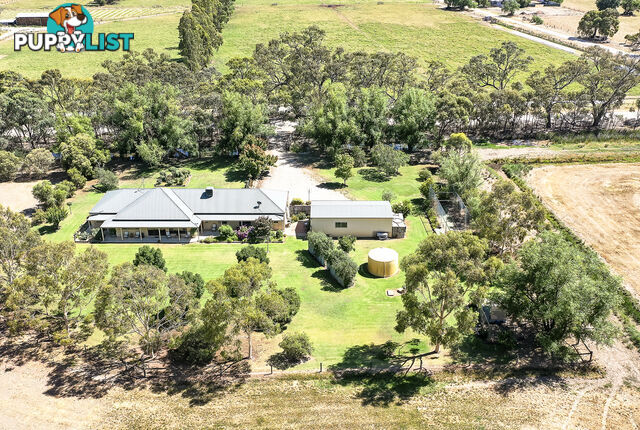 916 Cohuna Island Road COHUNA VIC 3568