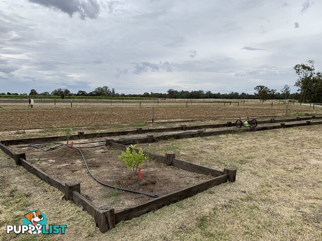 6638 Moulamein Road BARHAM NSW 2732