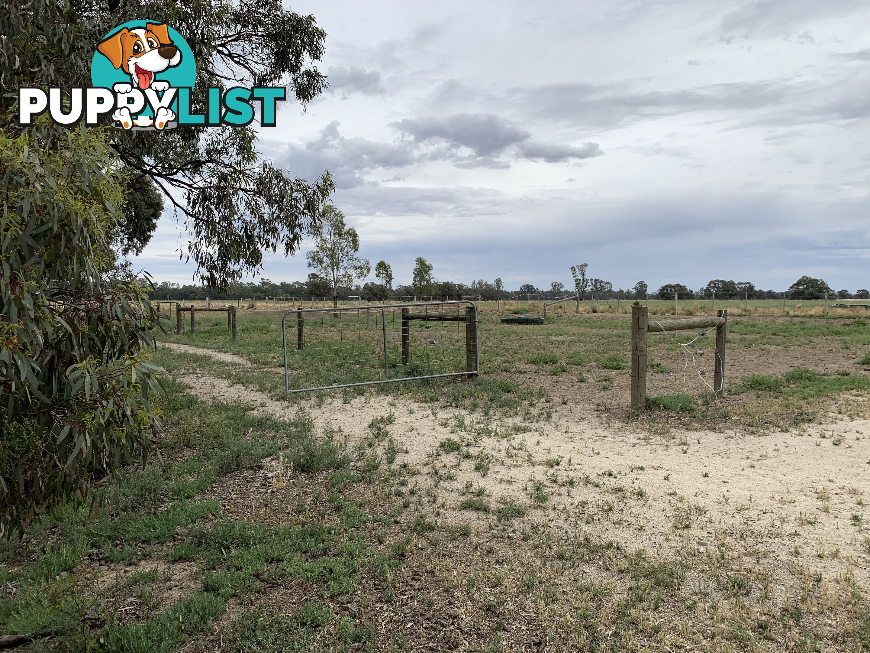 6638 Moulamein Road BARHAM NSW 2732