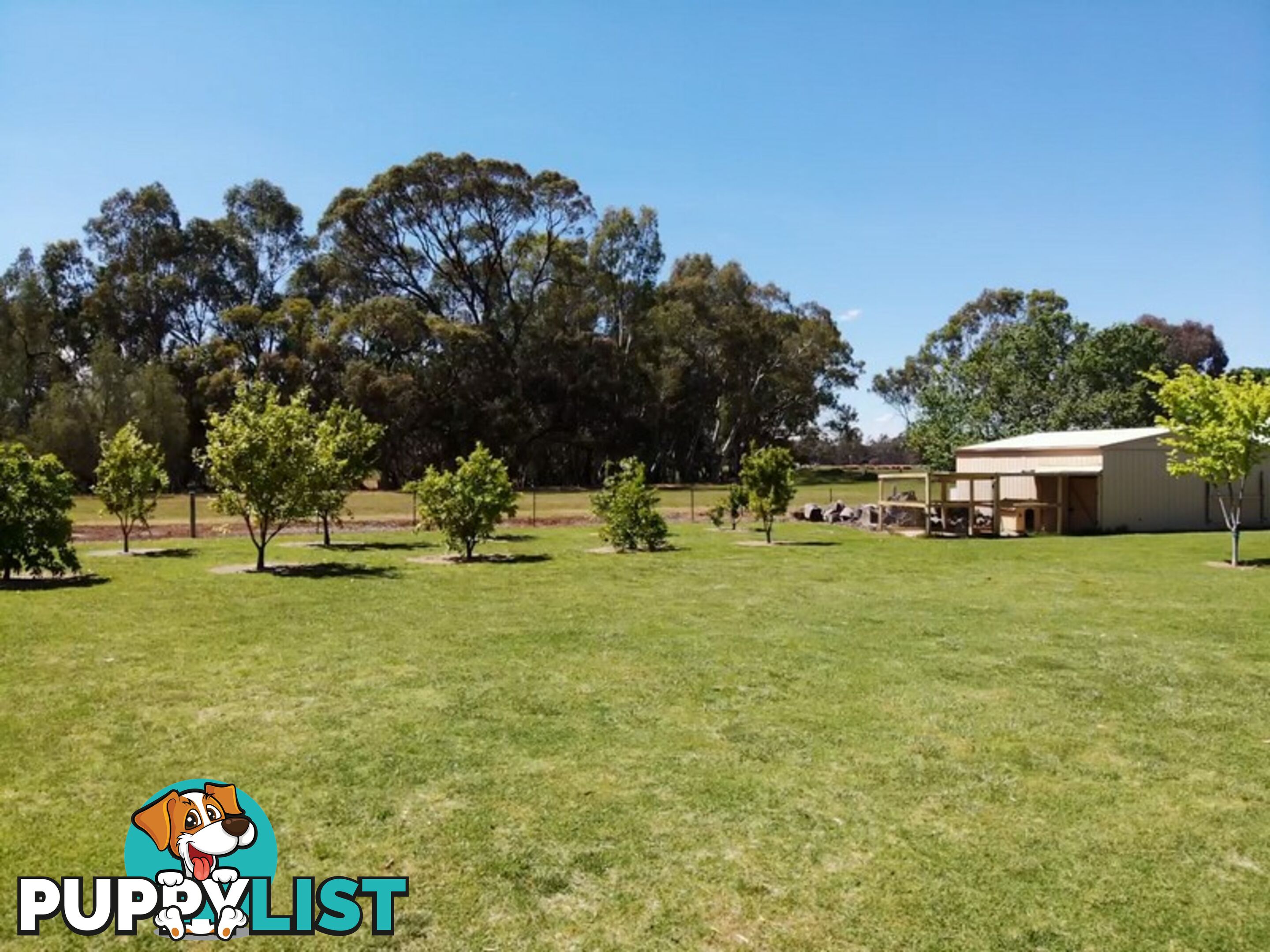 153 East Barham Road BARHAM NSW 2732