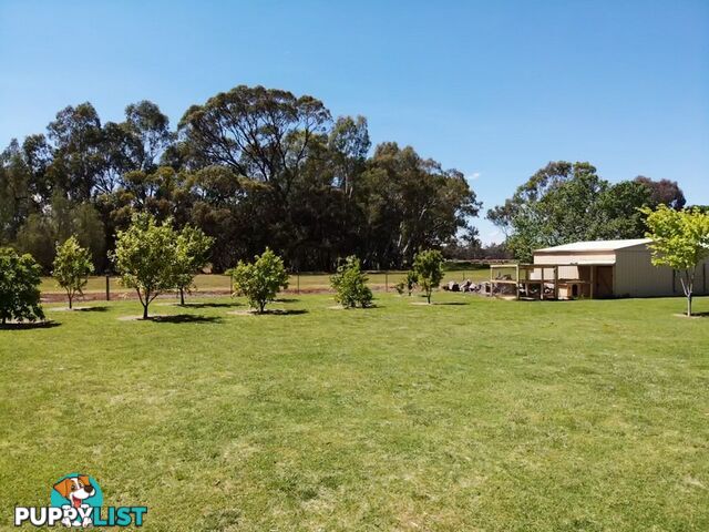 153 East Barham Road BARHAM NSW 2732