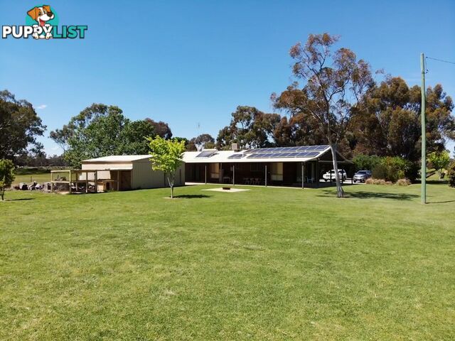 153 East Barham Road BARHAM NSW 2732