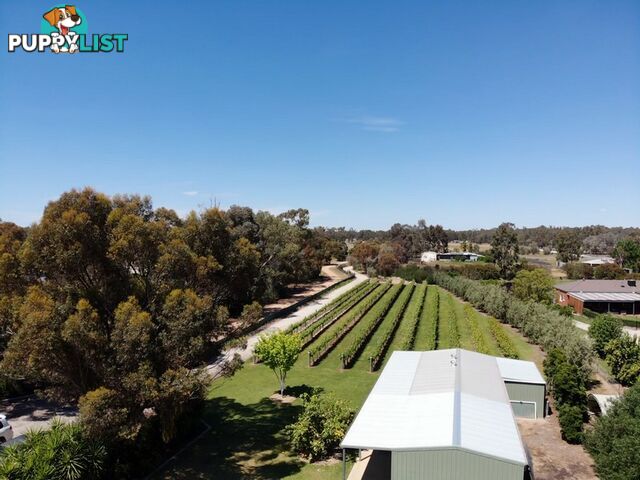 153 East Barham Road BARHAM NSW 2732